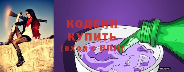 мет Гатчина