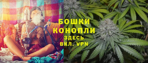 мдпв Александровское