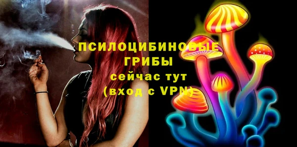мдпв Александровское
