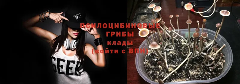 Псилоцибиновые грибы мухоморы Алейск