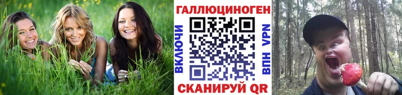 Галлюциногенные грибы Magic Shrooms  как найти закладки  Алейск 