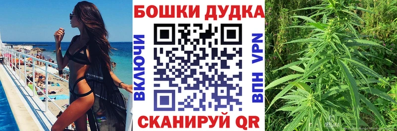 как найти Алейск Шишки марихуана план