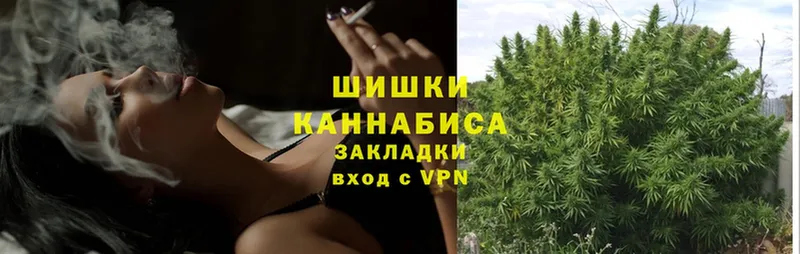 наркота  Алейск  Шишки марихуана SATIVA & INDICA 